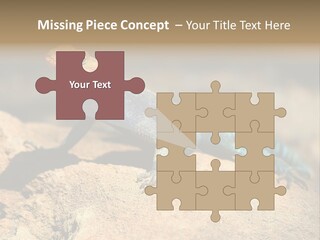 Wildlife Africa Natural PowerPoint Template