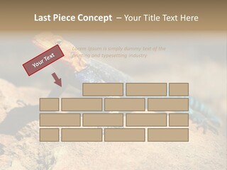 Wildlife Africa Natural PowerPoint Template