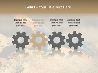 Wildlife Africa Natural PowerPoint Template