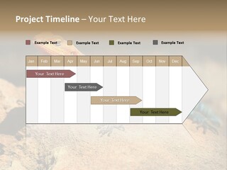 Wildlife Africa Natural PowerPoint Template