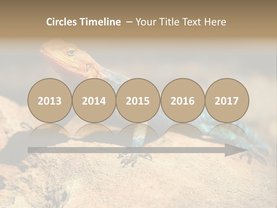 Wildlife Africa Natural PowerPoint Template