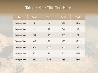 Wildlife Africa Natural PowerPoint Template