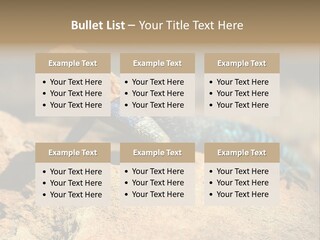 Wildlife Africa Natural PowerPoint Template