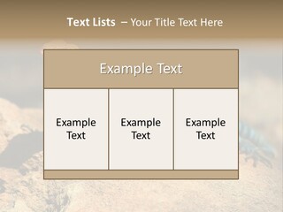 Wildlife Africa Natural PowerPoint Template