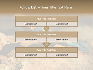 Wildlife Africa Natural PowerPoint Template
