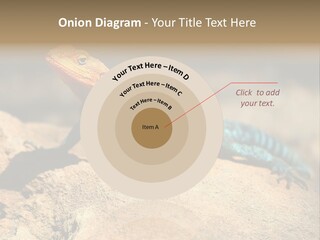 Wildlife Africa Natural PowerPoint Template