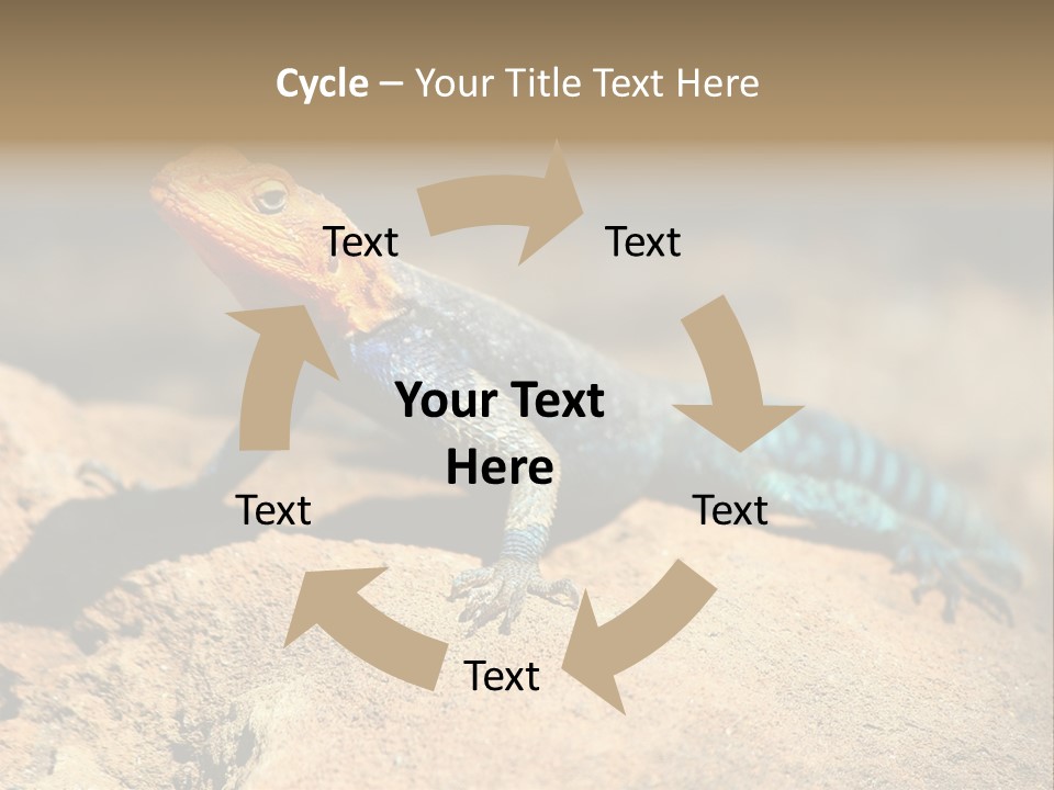 Wildlife Africa Natural PowerPoint Template