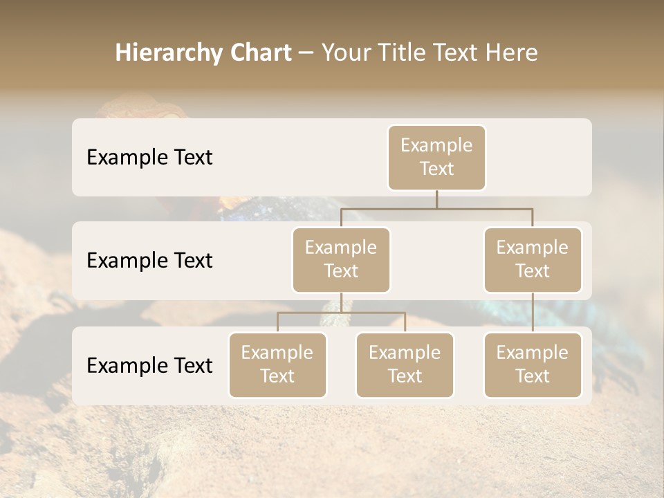 Wildlife Africa Natural PowerPoint Template