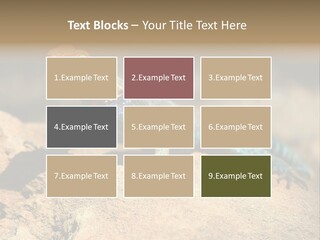 Wildlife Africa Natural PowerPoint Template