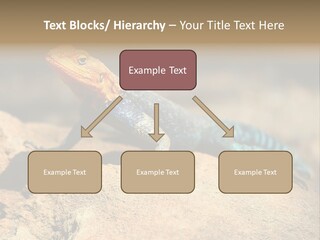 Wildlife Africa Natural PowerPoint Template