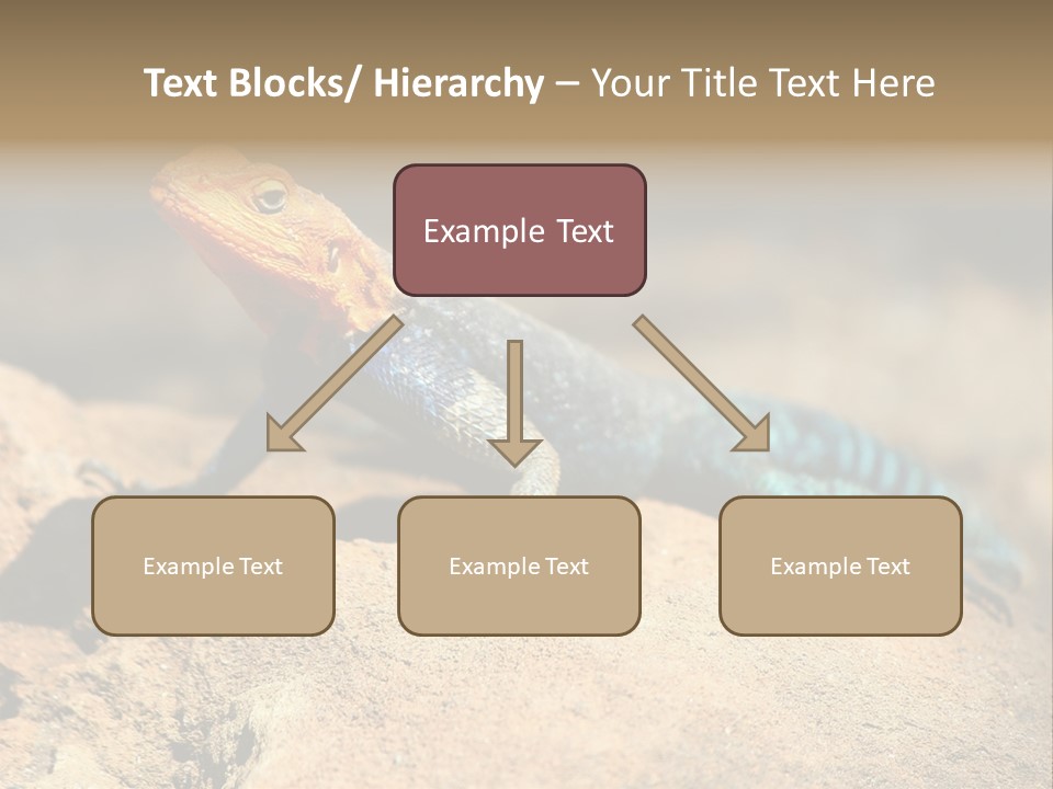 Wildlife Africa Natural PowerPoint Template