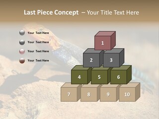 Wildlife Africa Natural PowerPoint Template