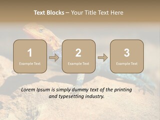 Wildlife Africa Natural PowerPoint Template