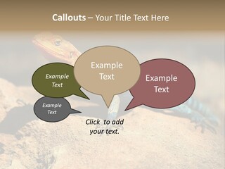 Wildlife Africa Natural PowerPoint Template