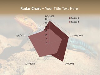 Wildlife Africa Natural PowerPoint Template