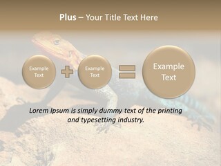 Wildlife Africa Natural PowerPoint Template