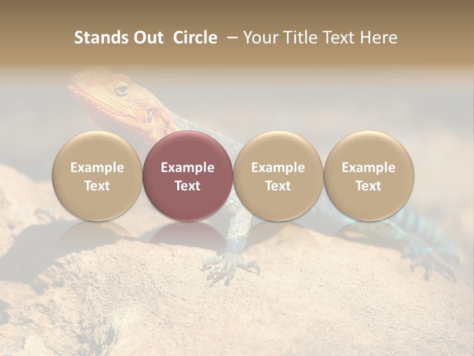 Wildlife Africa Natural PowerPoint Template