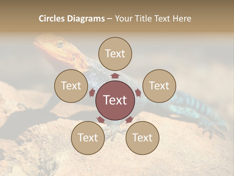 Wildlife Africa Natural PowerPoint Template