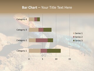 Wildlife Africa Natural PowerPoint Template