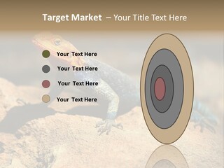 Wildlife Africa Natural PowerPoint Template