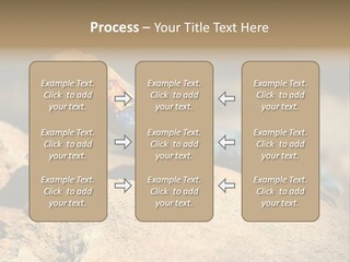 Wildlife Africa Natural PowerPoint Template