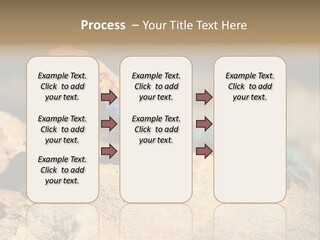 Wildlife Africa Natural PowerPoint Template