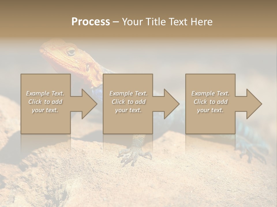 Wildlife Africa Natural PowerPoint Template