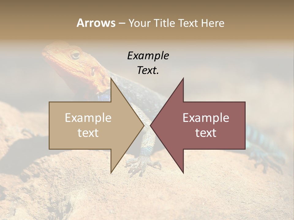 Wildlife Africa Natural PowerPoint Template