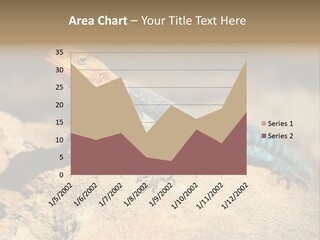 Wildlife Africa Natural PowerPoint Template