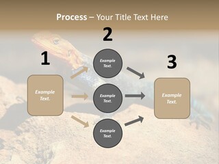 Wildlife Africa Natural PowerPoint Template