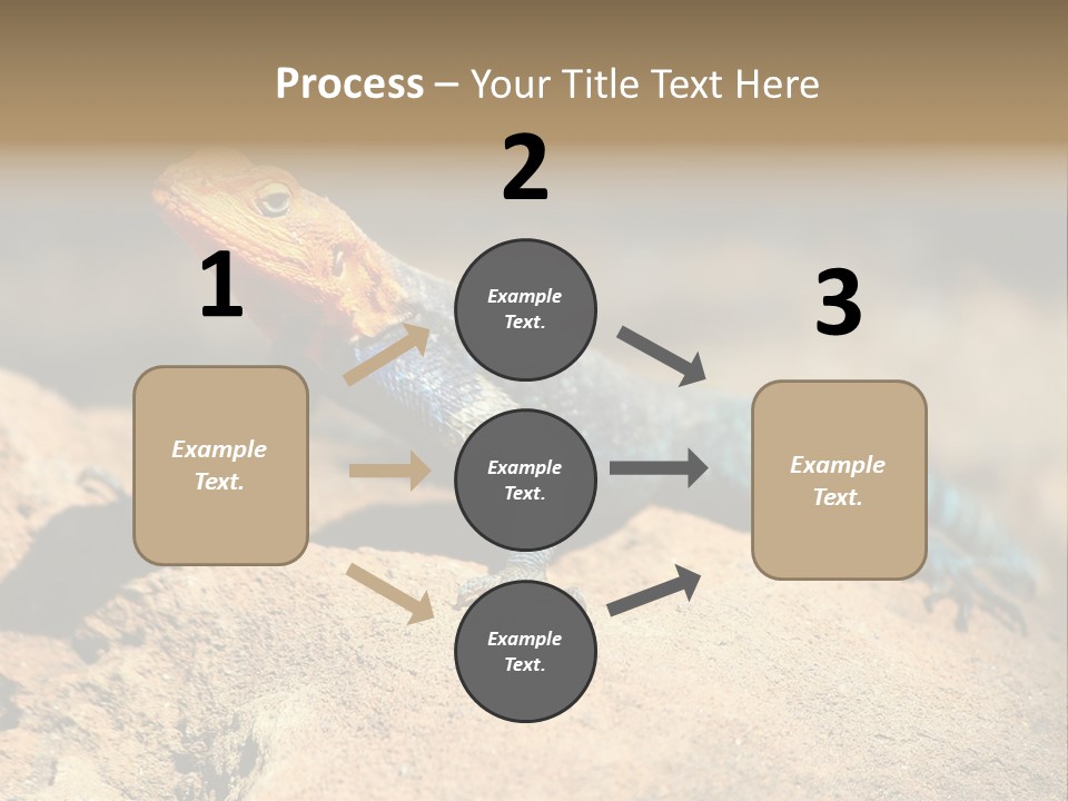 Wildlife Africa Natural PowerPoint Template