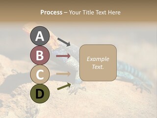 Wildlife Africa Natural PowerPoint Template