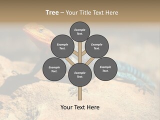 Wildlife Africa Natural PowerPoint Template