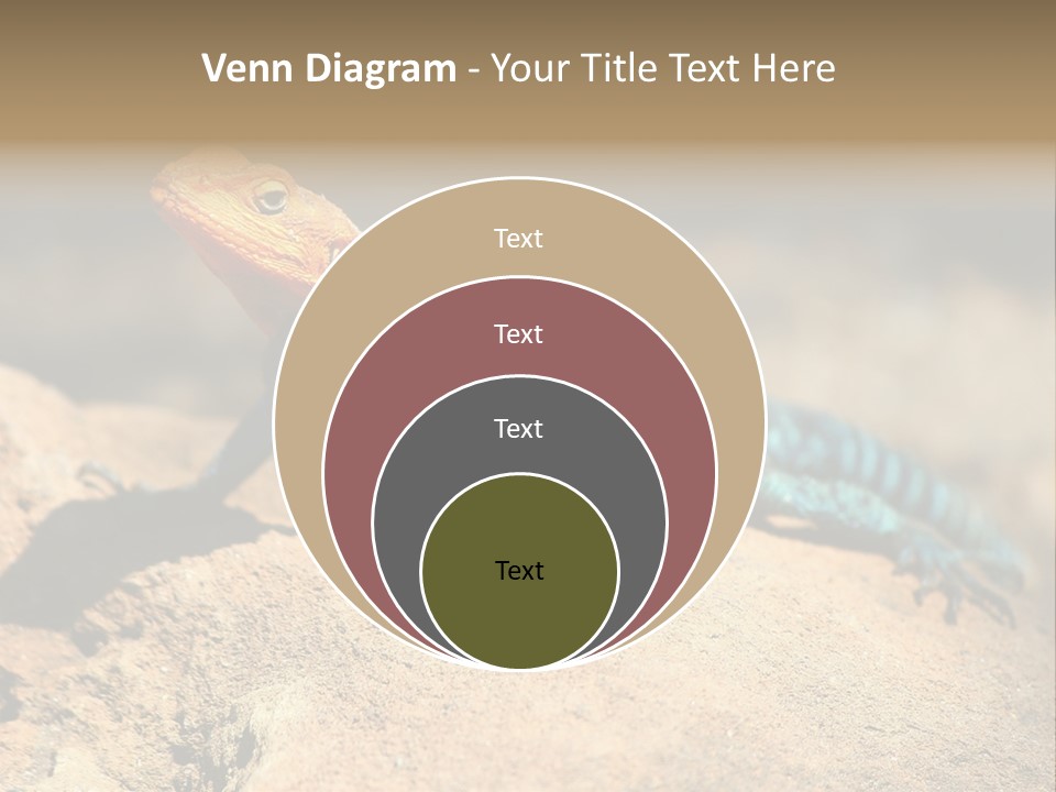 Wildlife Africa Natural PowerPoint Template