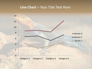 Wildlife Africa Natural PowerPoint Template