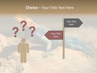 Wildlife Africa Natural PowerPoint Template