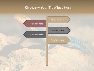 Wildlife Africa Natural PowerPoint Template