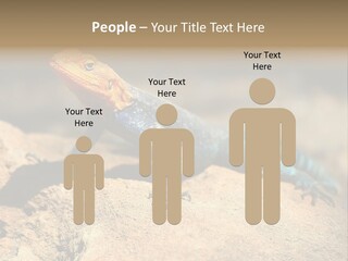 Wildlife Africa Natural PowerPoint Template