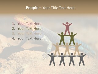 Wildlife Africa Natural PowerPoint Template