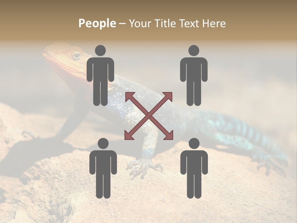 Wildlife Africa Natural PowerPoint Template