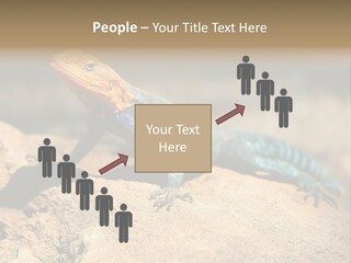 Wildlife Africa Natural PowerPoint Template