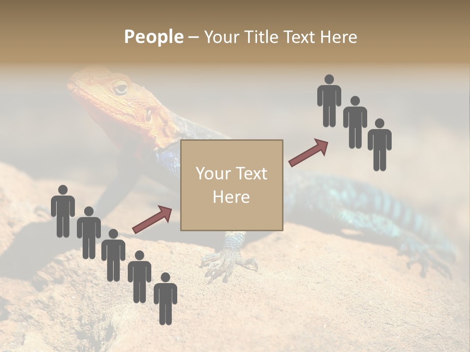 Wildlife Africa Natural PowerPoint Template