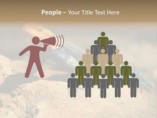 Wildlife Africa Natural PowerPoint Template