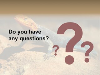 Wildlife Africa Natural PowerPoint Template