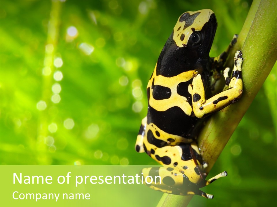 Ecology Reptile Poison PowerPoint Template