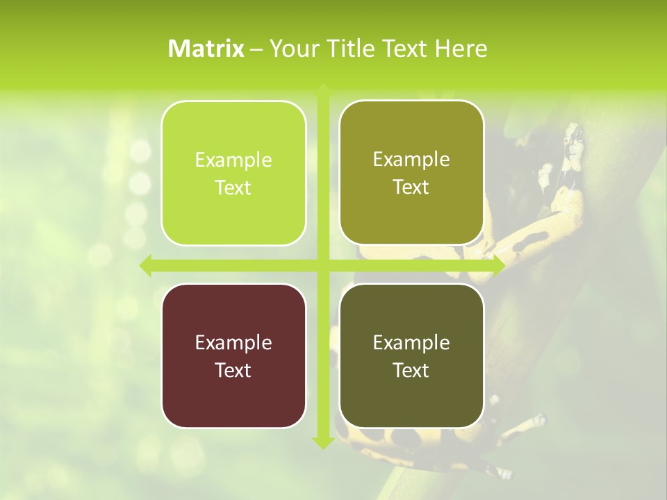 Ecology Reptile Poison PowerPoint Template