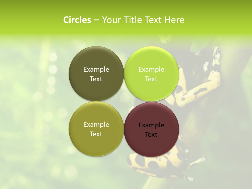 Ecology Reptile Poison PowerPoint Template