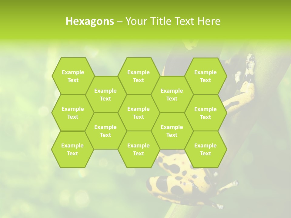 Ecology Reptile Poison PowerPoint Template