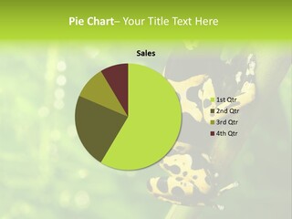 Ecology Reptile Poison PowerPoint Template