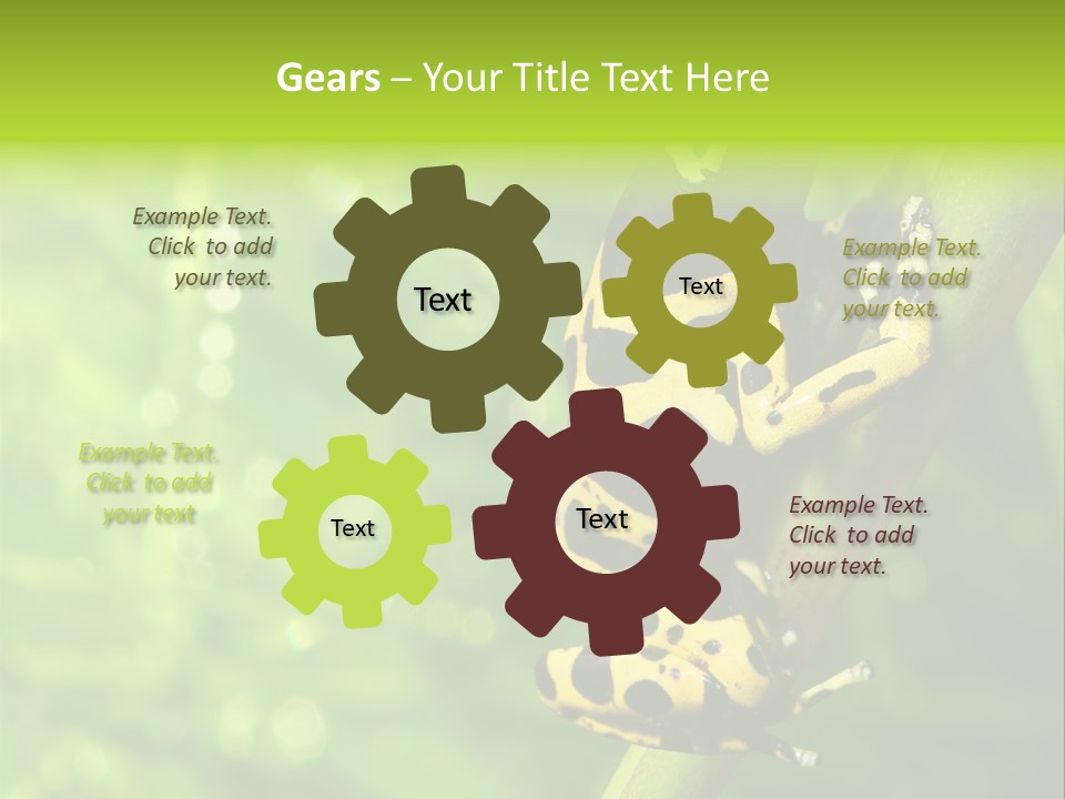 Ecology Reptile Poison PowerPoint Template